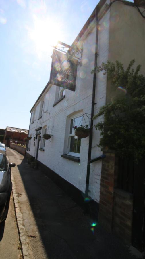 Bed and Breakfast The White Lion At Wicken Milton Keynes Exteriér fotografie